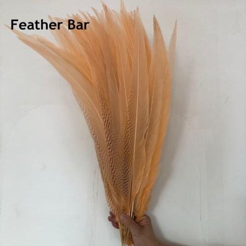 Champange Dyed AAA Quality Pheasant Silver Feather 40-80cm 16-30Inches Long Chicken Tails Feathers Pluma For Carnival Decoration