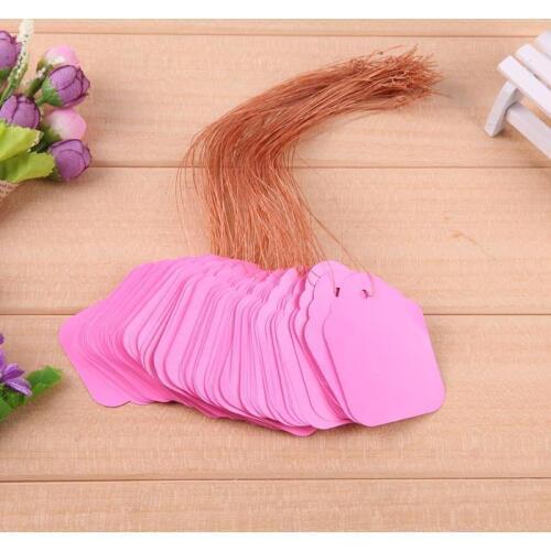 100Pcs/lot Plants Hang Tag Labels Seedling Garden Flower Pot Plastic Tags Number Plate Hanging Reusable PVC Garden Tools