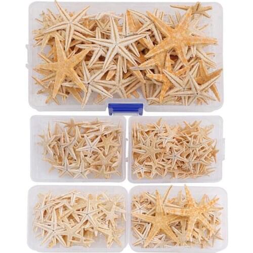 1Box 20/50/100pcs Natural Starfish Seashell Beach Craft Natural Sea Stars DIY Beach Wedding Decoration Crafts Home Decor