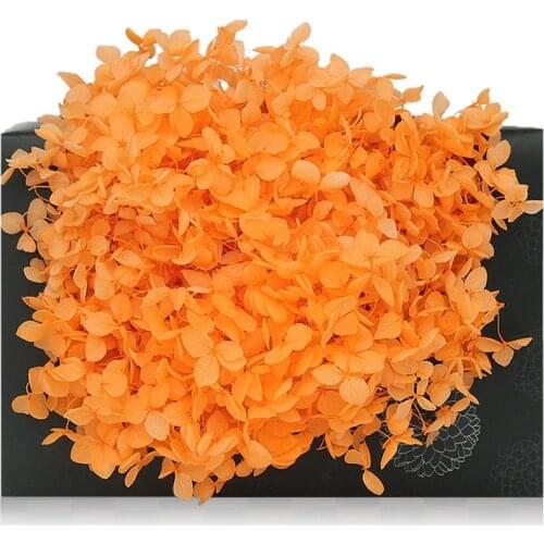 20g/lot,Grade A Preserved Anna Hydrangea,Nature real Flower Head for Wedding home decoration,Eternal flower Bridal headdress