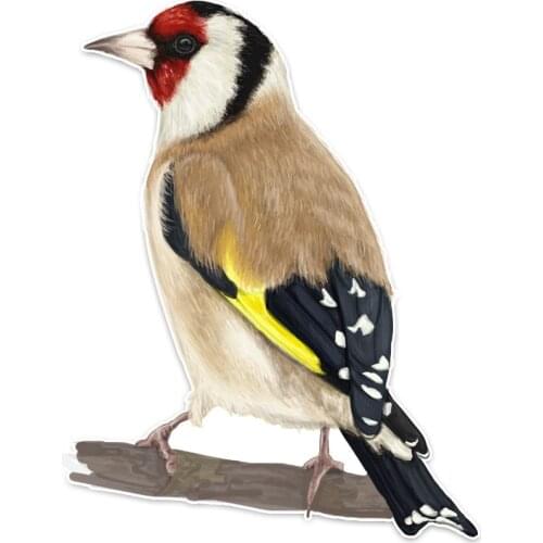 Car Stickers, Motorcycle Decals Cute Creative Birds Decor Decorative Accessories,to Cover Scratches Sunscreen Waterproof PVC