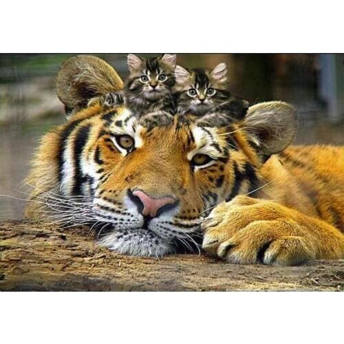 New 5D DIY Diamond Painting Animal tiger Diamond Embroidery cat Pictures Of Rhinestones Decor Diamond Painting Full Square TY510