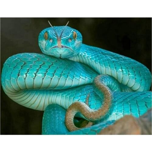 Diamond painting snake full square / round animal 5d canvas embroidery art green viper diy 3d diamond mosaic sticker