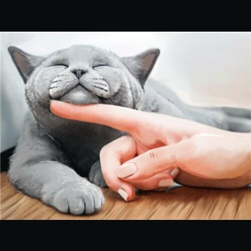 DIY Painting By Numbers Cat Animal Kit Picture By Numbers 40x50cm Acrylic Paintings On Canvas Home Decoration Gift Wall Art