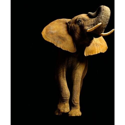 Elephant 3D TV sofa background wall decoration wallpaper murals