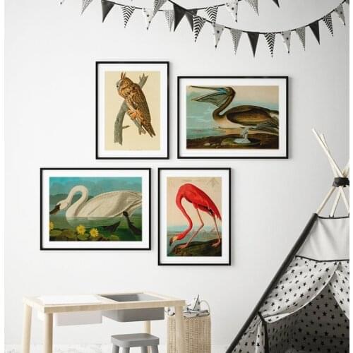 Vintage Bird Canvas Print Audubon Bird Posters Pink Flamingo Snowy Owl Blue Heron White Egret Canvas Painting Wall Art