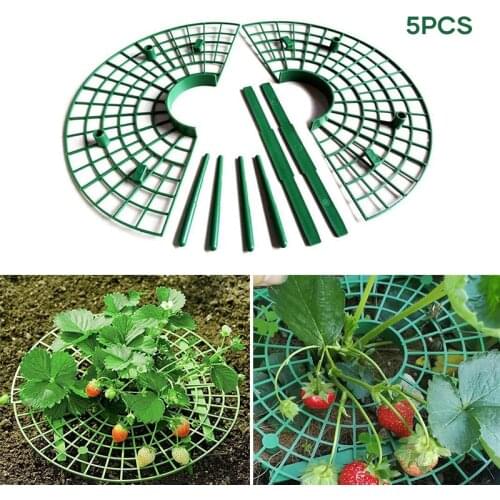5PCS Strawberry Support Plate Stake Extensible Mesh Round Garden Plant Rack Reusable Plastic Strawberry Cage Holder Serre Jardin