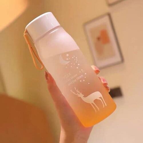 500Ml Small Daisy Creative Transparent Plastic Water Bottles Bpa Free Frosted Water Bottle with Portable Rope Travel Tea Cup b