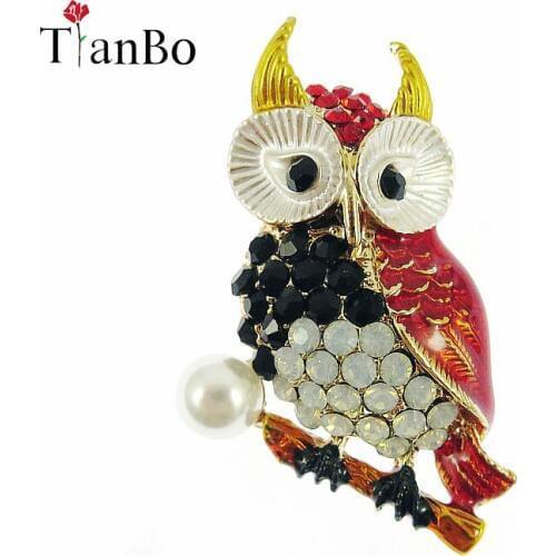 TianBo Alloy Metal Big Eyes Owl Brooches For Women Men Rhinestone Vintage Bouquet Hijab Pin Scarf Buckle Clips femininos Broches