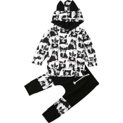 0-24M 2PCS Infant Baby Girl Boy Clothes Long Sleeve Cartoon Dog Hooded Tops+Pants Outfit