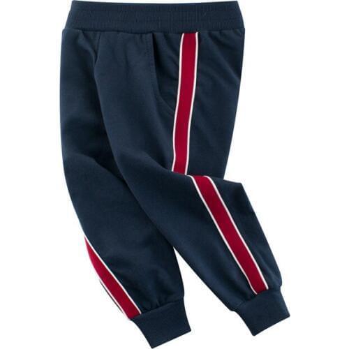 2020 Wholesale Kids Sports pants cotton Cartoon Dinosaurs boy girl toddler Leisure trousers children clothing Embroidery clothes