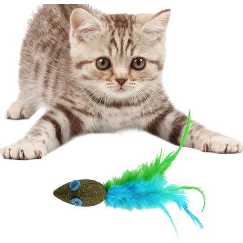 1Pc Cute Funny Mice Toy Funny Interactive Pet Training Toy Mouse Toy Catnip Toy For Cat Kitten Pet Supplies Dropshipping