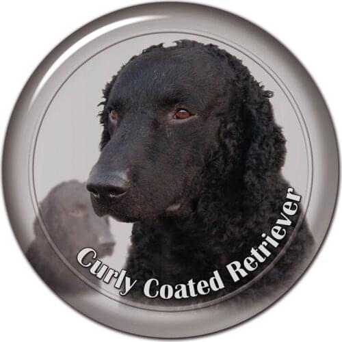 B0829# 13CM/17CM Self-Adhesive Decal Curly Coated Retriever Dog V2 Car Sticker Decors on Bumper Rear Window Laptop