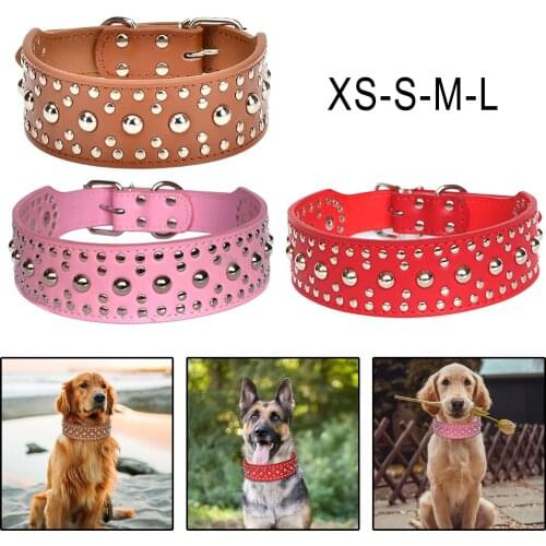 Первый питомец Kesoto China At AliExpress