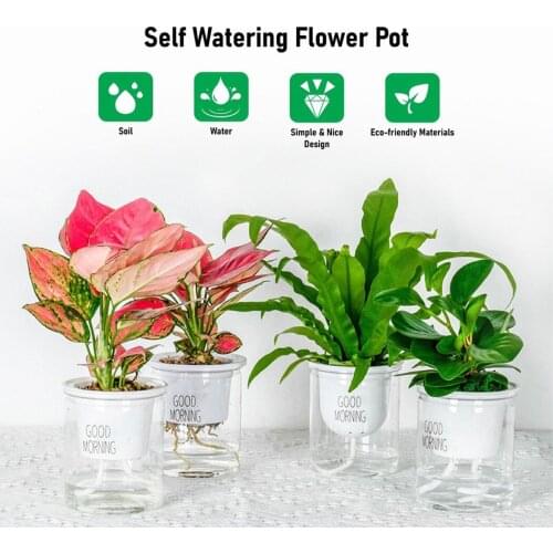 2 Lazy Flower Pots With Automatic Water Absorption Transparent Round Plastic Hydroponic Flower Pots Drop Shipping
