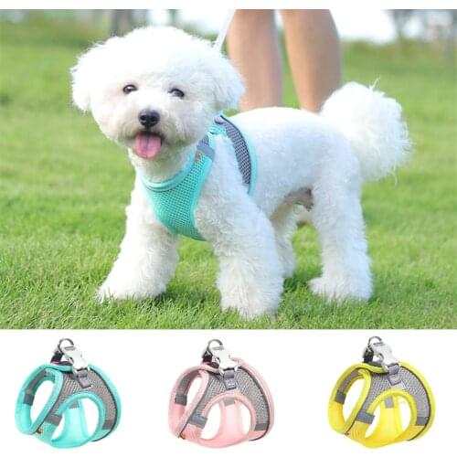 Breathable Pet Harness Dogs Vest And Leash Set For Small Breeds Puppy Cat Chest Strap French Bulldog Accessories Kitten Supplies