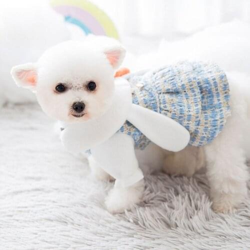 High Quality Cute Autumn Winter Dog Princess Dress for Small Dogs Chihuahua Dress Skirt Woolen Radish Puppy Cat Princess Clothes