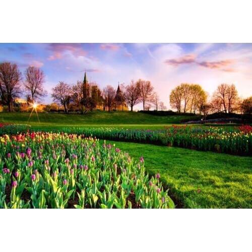 Canadian Manor The wooden puzzle 1000 pieces ersion jigsaw puzzle white card adult childrens educational toys