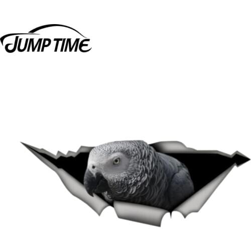 Jump Time 13cm x 5cm African Grey Parrot Funny Car Sticker Metal Aluminum Composite Sign Vinyl Car Styling Cute Pet Bird Decal