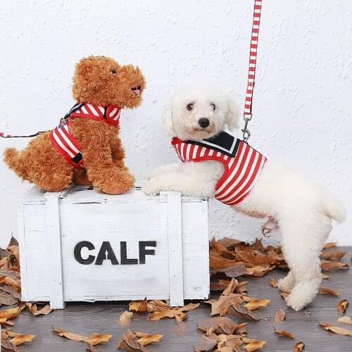 Popular pet products Teddy poodle rope traction rope traction belt dog chain small and medium-sized dog pet chest strap