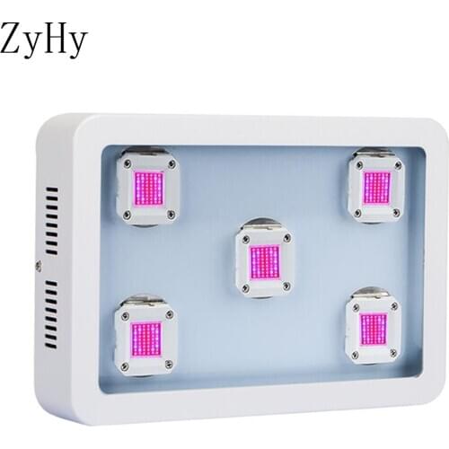 Профессиональное освещение ZYHY China At AliExpress