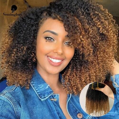 Afro Kinky Curly Clip In Human Hair Extensions 4B 4C 1b/27 Honey Blonde 100% Human Hair Ombre Colored Human Hair Clip Ins