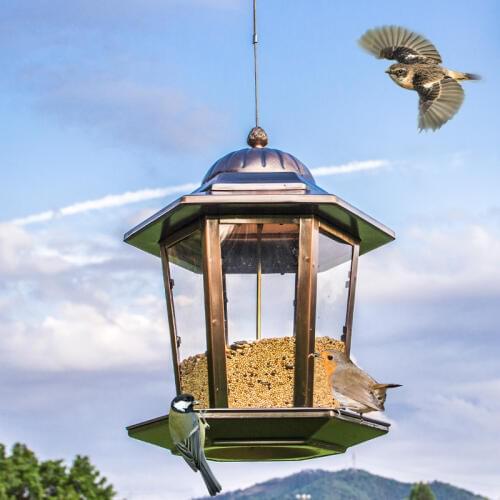 Wild Bird Feeder European Style Outdoor Tube Bird Feeders Food Container For Home Balcony Hang Pet