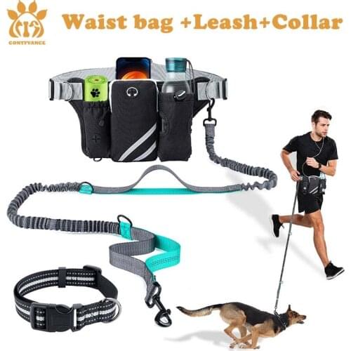 Running Hands Free Dog Leash Set Multifunctional Belt Bag & Pet Collar Leash Reflective Waterproof Nylon Material Unique design