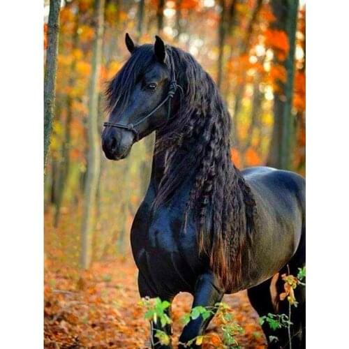 SenyuArt 5D Diamond Painting Full Round Square Embroidery Picture Mosaic Accessories Animal Horse Paiting Cross Stitch Kit Decor