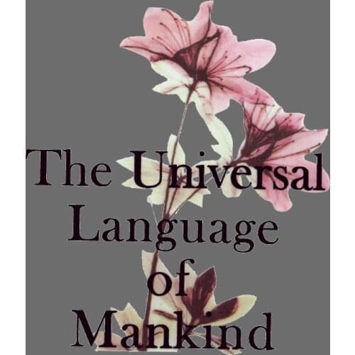 Letter Flower Patch Iron On Patches For Clothing DIY Washable Sticker On Clothes Girl T-shirt Bags Heat Transfers Appliqued