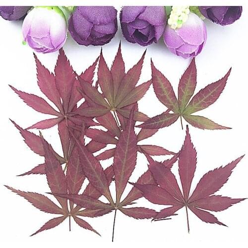 Maple Leaf Flower Dry Flower DIY Manual Photo Frame Album Embossing Home Decoration Accessories Dia De La Madre