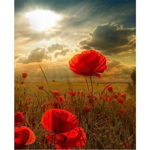 Picture By Number Flowers Sunset Oil Paint On Canvas For Painting Coloring DIY Kits Adults Drawing By Number Painting Wall Art