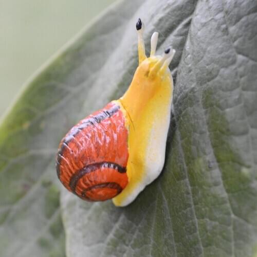 5pcs,Various high simulation insects with magnet,Ants for Home Garden decoration accessories,creative micro landscape decoration