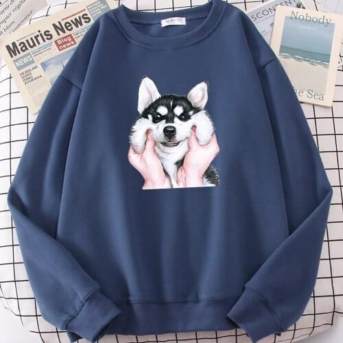 Lovely Siberian Husky Prints Sweatshirt Womens Hipster High Quality Hoody Cartoon Casual Autumn Hoodies Loose Warm Unisex Tops
