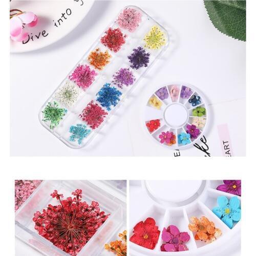 1box Dried Flowers Nail Art Decoration 3D Manicure Polish Summer Real Preserved Floral Leaf Mixed Dry Bloom Tips