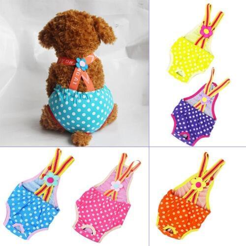 Трусы для собак Legendog China At AliExpress