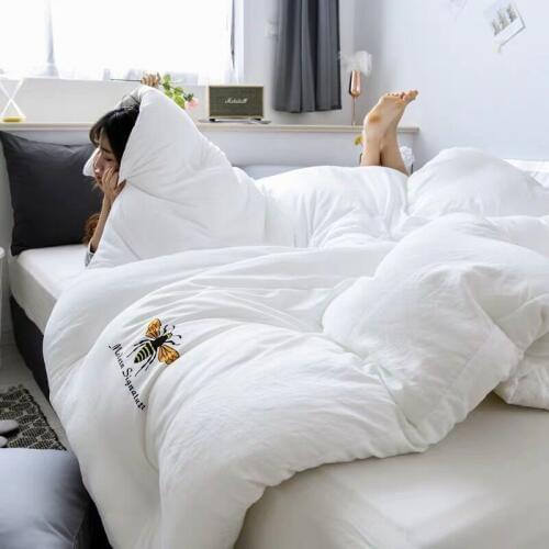 2019 New Adults soild color twin/queen/king Size luxury Winter quilt bedroom thick Warm Quilted duvet bedding comforter blankets