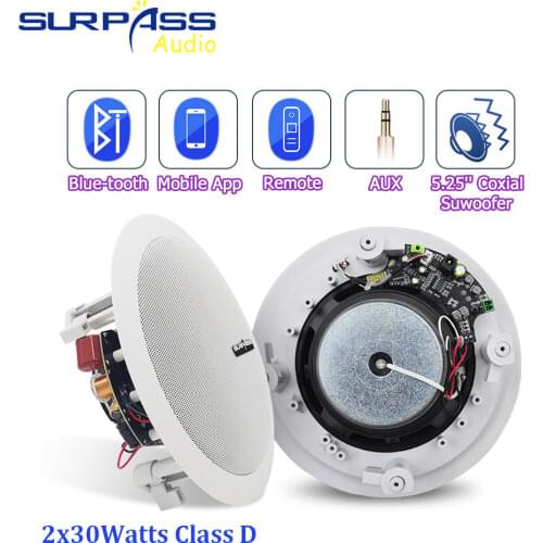 2Pcs Home Audio Bluetooth Ceiling Speaker HiFi Stereo Sound Subwoofer 30W Powered Speakers PA System Indoor Background Music