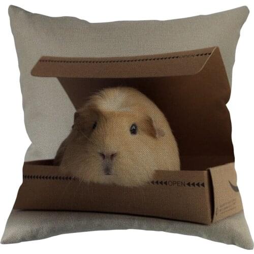 Guinea pig Pillow Covers Cases Cotton Linen Zippered Square Decorative Pillowcase Outdoor,Office,Home Cushion 45x45cm One Sides