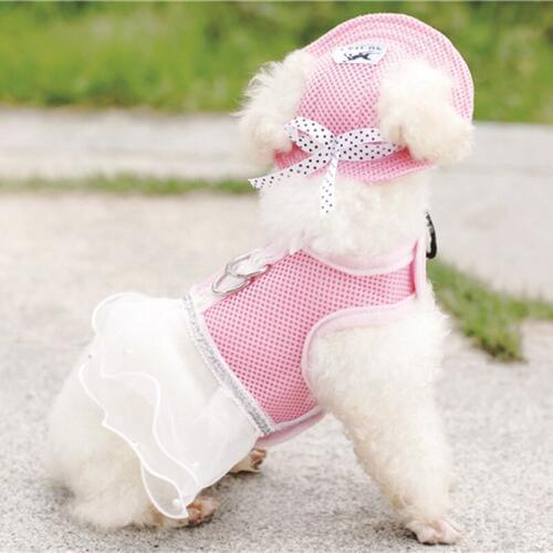 Dog Dresses Collar Fashion Dogs Princess Dress Pet Clothing Supplies Hat+Panties Leash = 1 set
