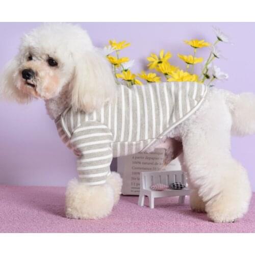 Winter Warm Dog Costume Cute Cartoon Bear Pet Coat Cotton Soft Pullover Dog Shirt Jacket Sweatshirt Cat Sweater Pets Clothing