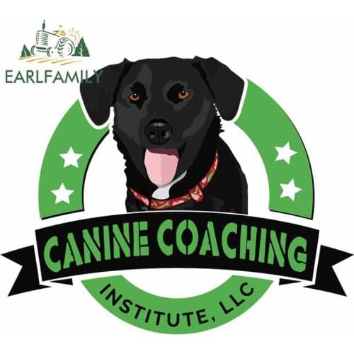 EARLFAMILY 13cm x 10.2cm For Service Dog Fine Decal Sunscreen Car Stickers 3D Funny Campervan Motorcycle Decoration