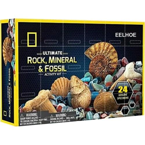 Rock Series Christmas Gift Gravel Cobblestone 24pcs 31x22.5x5cm 31*22.5*5cm PP Material Childrens Geological Education Gifts