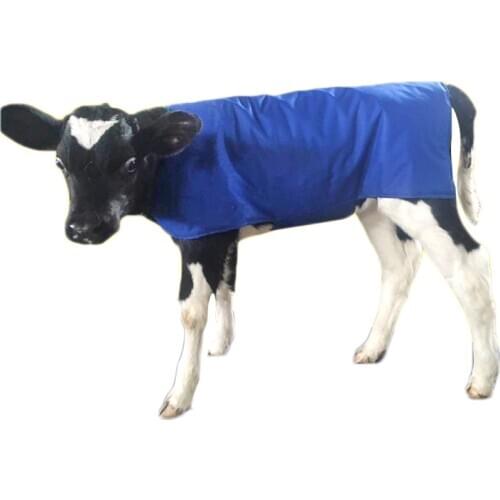 Cow Calf Vest Calf Cold protection Coat Thermal Suit Livestock Oxford Fabric Coat Wind-Proof and Water-Proof Calf Warm Clothing