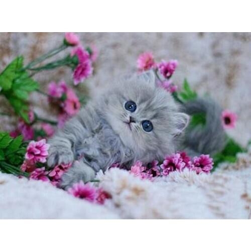 Div 5D Cute Cat And Pink Flowers Fluffy Full Diamond Painting cross stitch kits art High Quality Animal 3D paint by diamonds