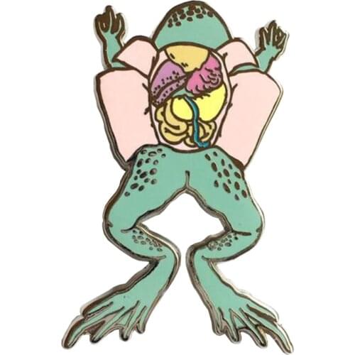 Dissected Frog Enamel Pin - Science Pin, lapel Pin
