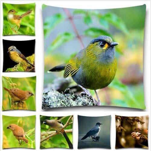 Colorful Bird Sofa Cushion covers Autumn Decorative Pillows Covers Animals Bedroom Throw Pillows Cases 5 size