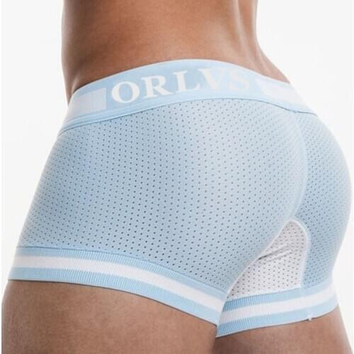 ORLVS Brand Mesh Sexy Men Boxers Male Underwear Solid Shorts Nylon Quick Dry Cueca Tanga Men Underpants Sleepwear Breathable