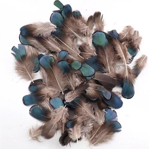 100Pcs Wholesale Small Pheasant Feathers Hair Craft Plume Natural DIY Feathers Jewelry Making Wedding Party Decoration Plumas