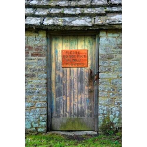 125*200cm Wholesale Photography Backdrops Hot Sale Studio Photo Studio Backgrounds Exterior Door For Wedding Portrait D-4952